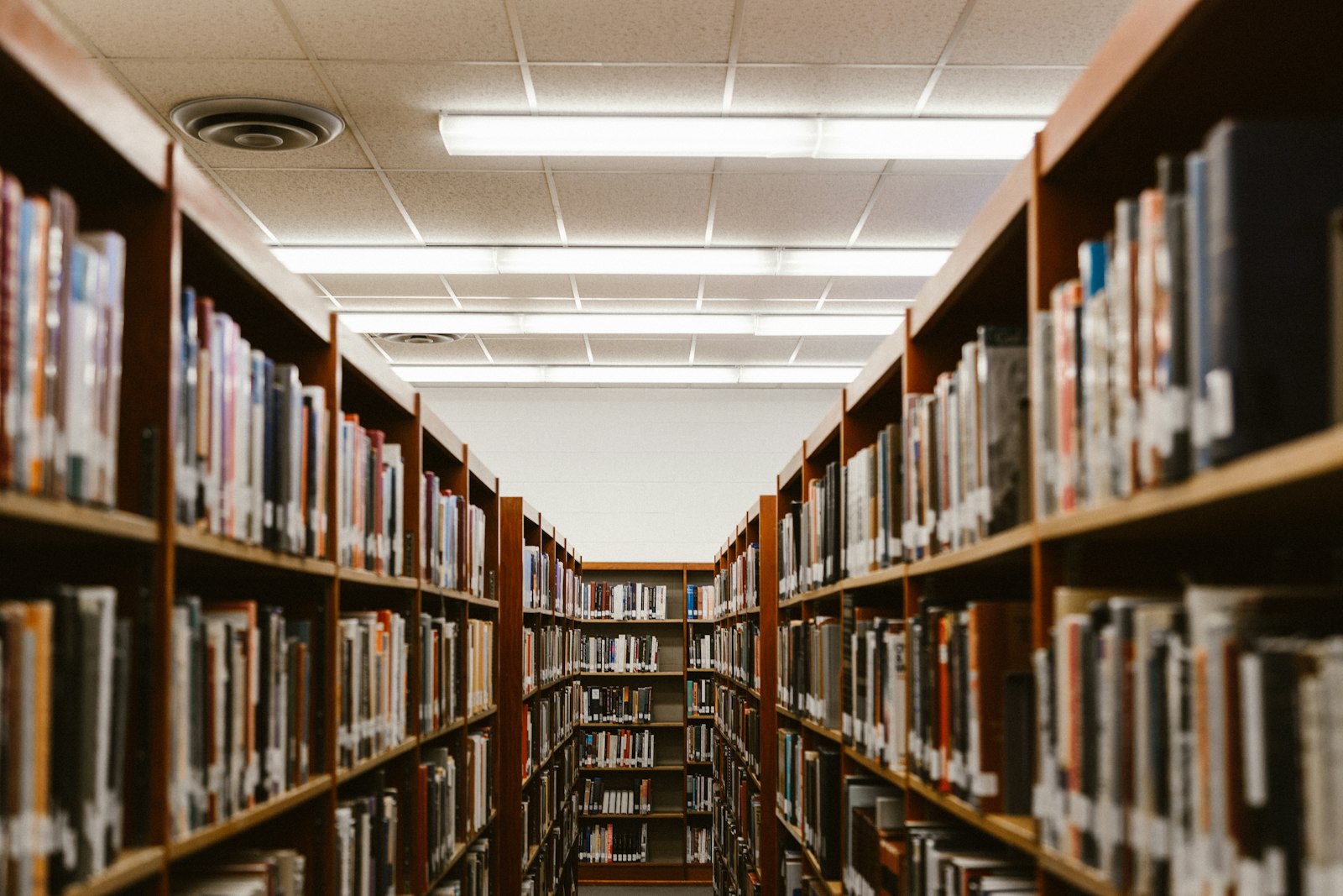 Student reading in a university library